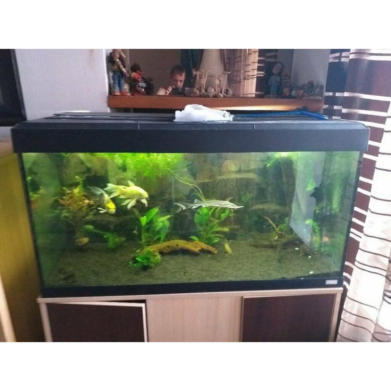 fluval aquarium with stand and large external filter