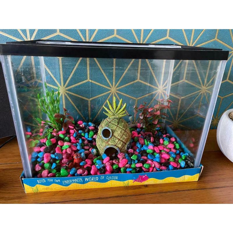 Small fish tank and selection of ornaments and gravel
