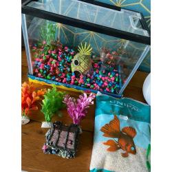 Small fish tank and selection of ornaments and gravel