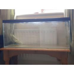 100 litre fish/amphibian/reptile tank aquarium