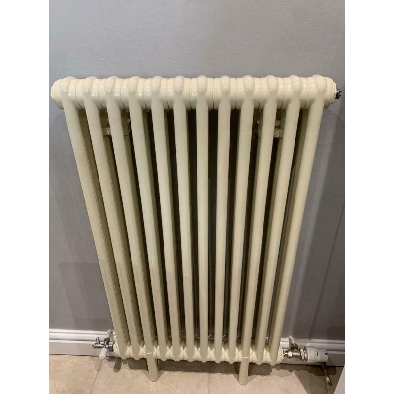 Traditional cast iron style radiator