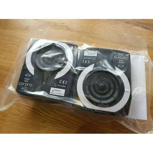 Corpro Face Mask Particulate Filters (F1100 P3 R)