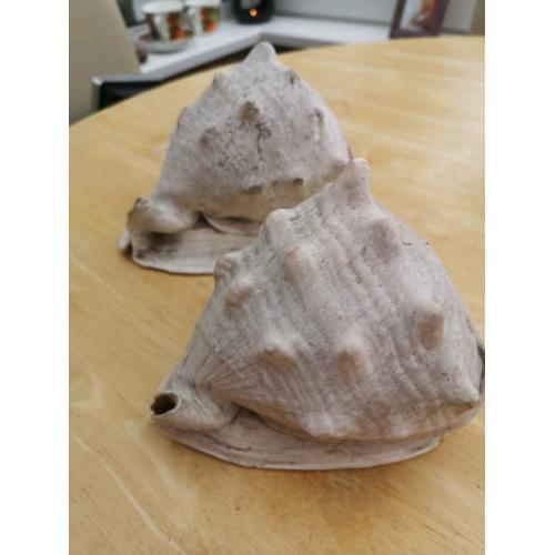 Very Large Shells