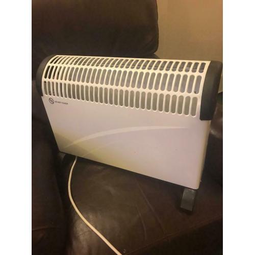 Portable electric fire