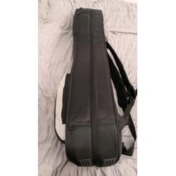Mono M80 duel electric gig bag