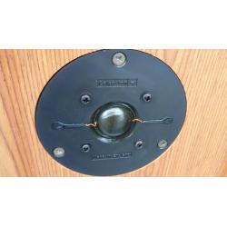 Speakers pair