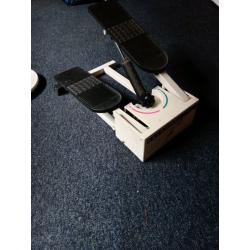 Stepper and waist twisting disc