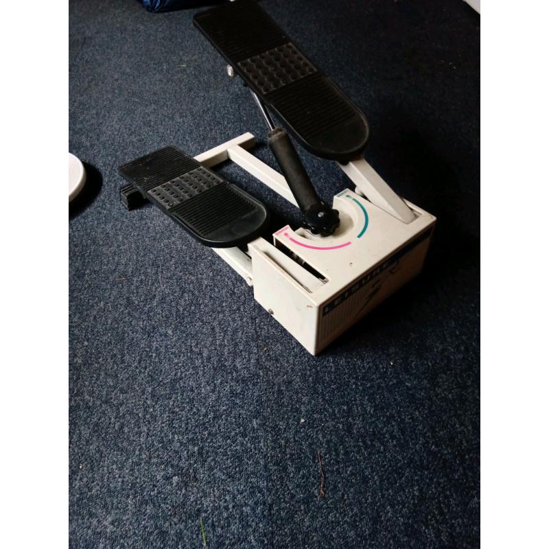 Stepper and waist twisting disc