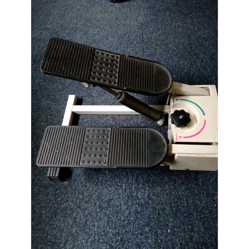 Stepper and waist twisting disc