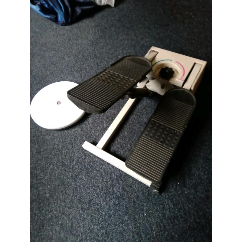 Stepper and waist twisting disc