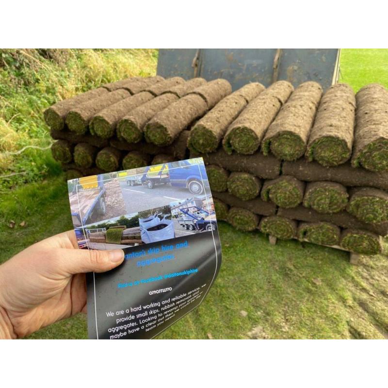 Premium lawn turf
