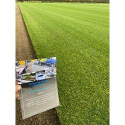 Premium lawn turf