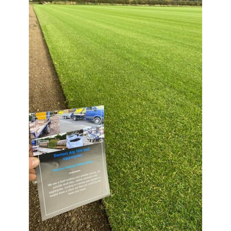 Premium lawn turf