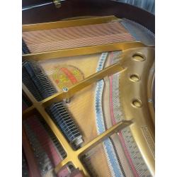 Small Modern Samick Baby Grand Piano - Christmas Delivery