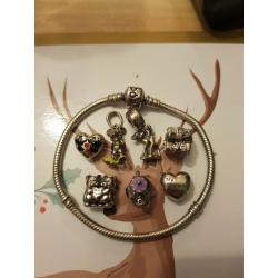 Pandora charms
