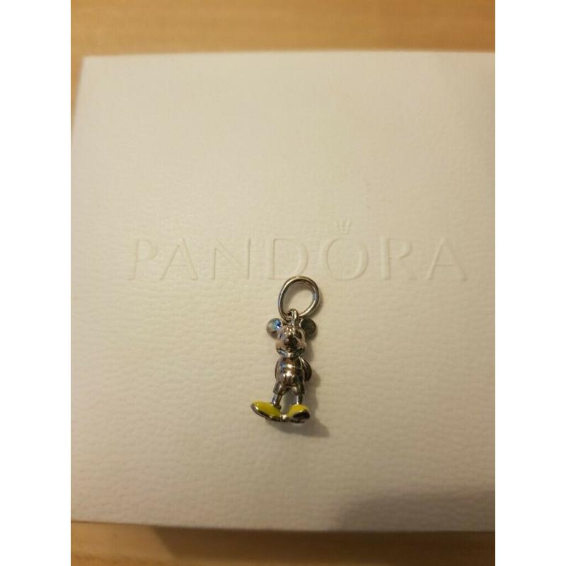 Pandora charms
