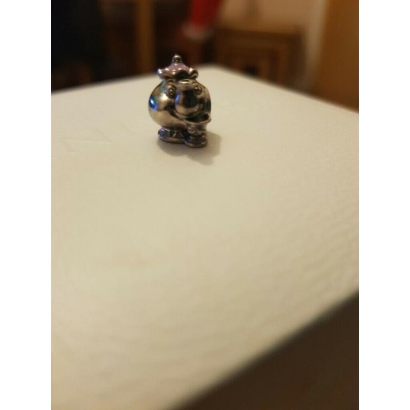 Pandora charms