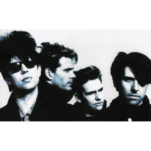 Echo and the bunnymen at the Albert hall Manchester