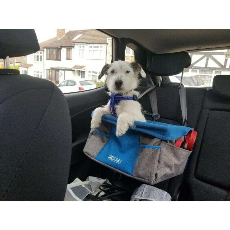 Dog booster seat