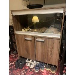 Lizard vivarium and set up - Lancashire collection