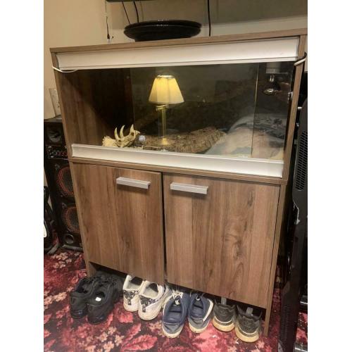 Lizard vivarium and set up - Lancashire collection