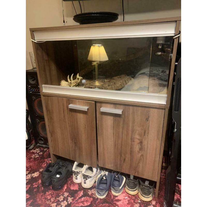 Lizard vivarium and set up - Lancashire collection
