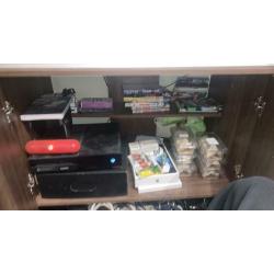 Lizard vivarium and set up - Lancashire collection