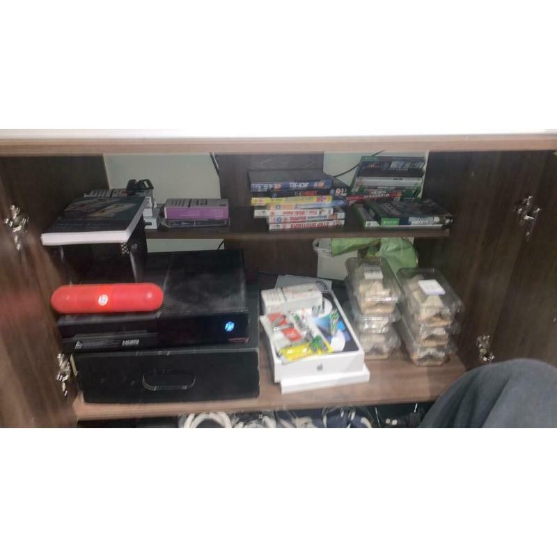 Lizard vivarium and set up - Lancashire collection