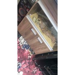 Lizard vivarium and set up - Lancashire collection