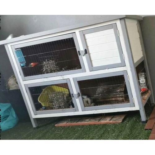 Rabbit / guinea pig hutch