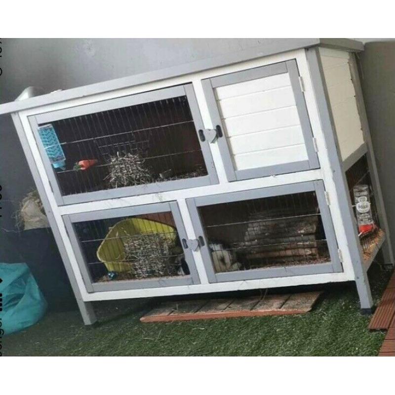 Rabbit / guinea pig hutch