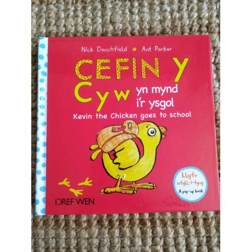 Children's Welsh Bilingual Reading Book
