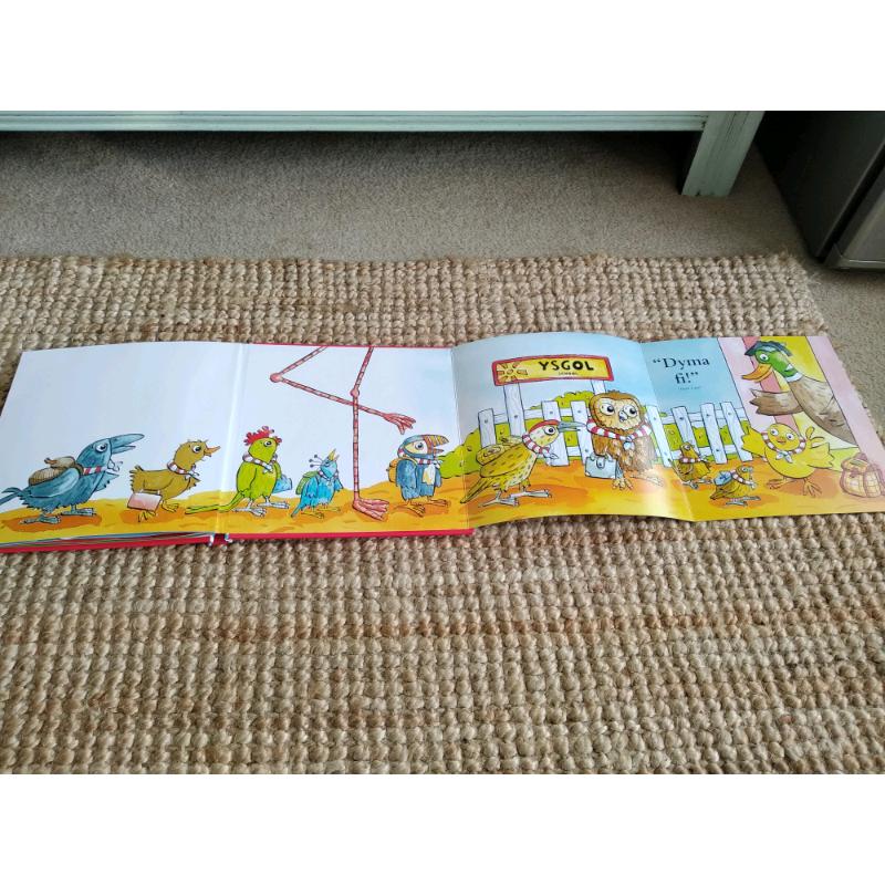 Children's Welsh Bilingual Reading Book