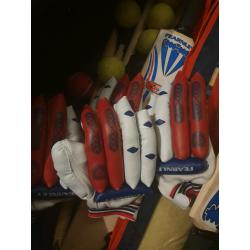Cricket bats gloves stumps and balls