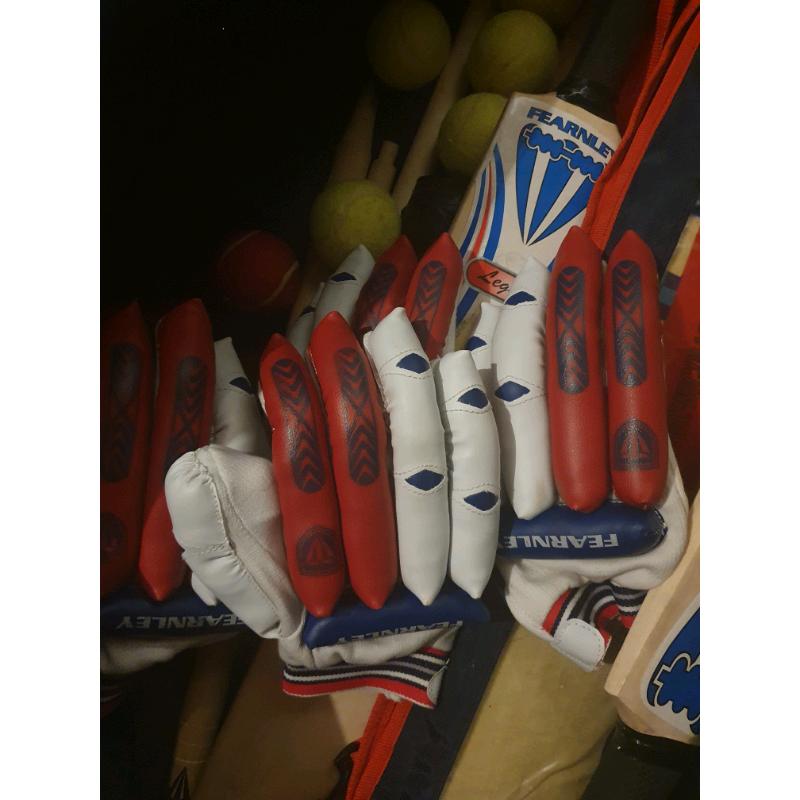 Cricket bats gloves stumps and balls