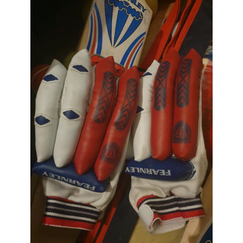 Cricket bats gloves stumps and balls