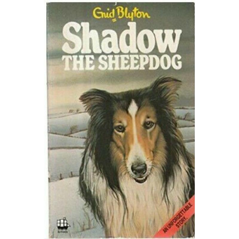 Shadow the SheepDog