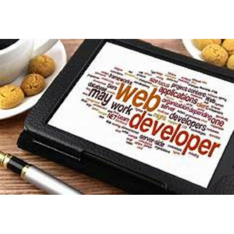 WEBSITE PHP WEB DEVELOPER WITH VUEJS_JQUERY_HTML