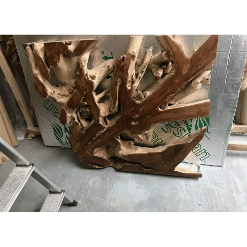 Teak root