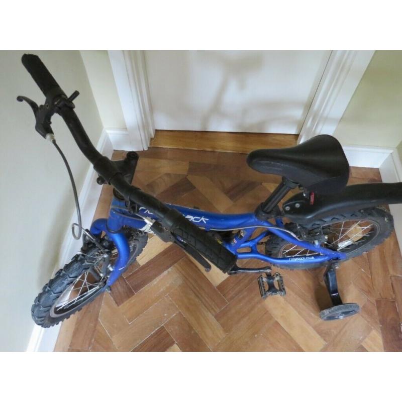 childrens 16 inch Ridgeback bike