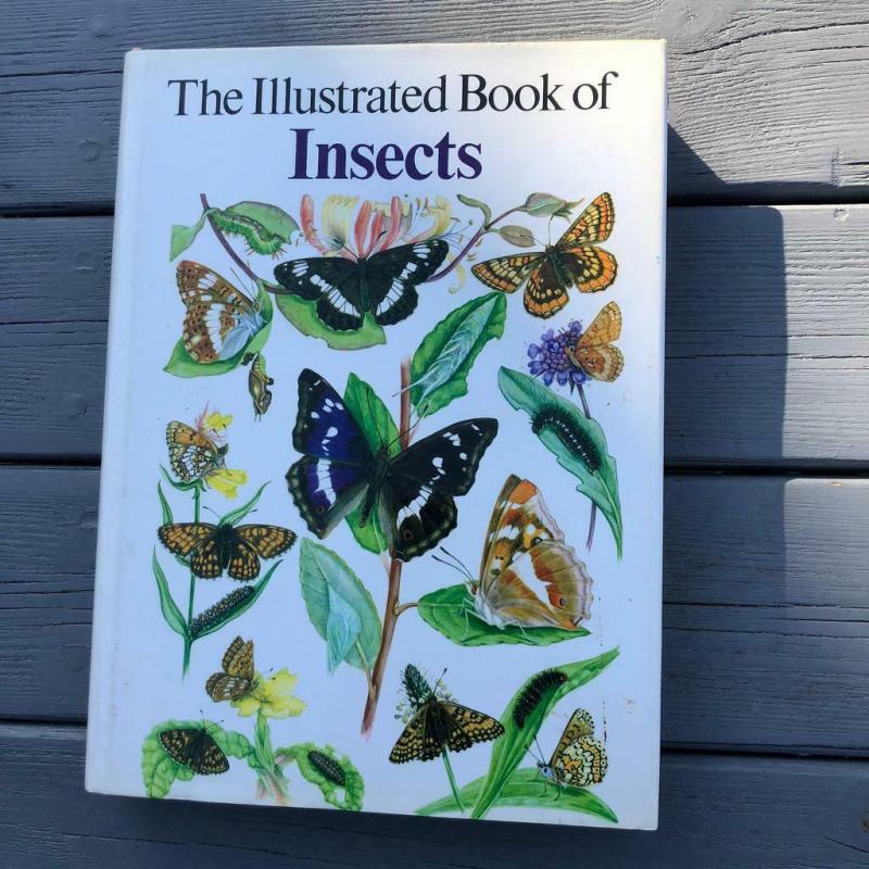 The Illustrated book of insects