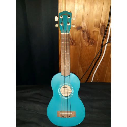 Beginner ukulele, no accessories but a nice beginner model.
