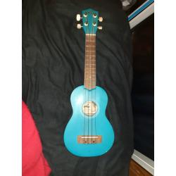 Beginner ukulele, no accessories but a nice beginner model.