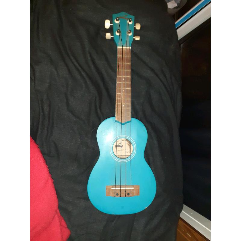 Beginner ukulele, no accessories but a nice beginner model.