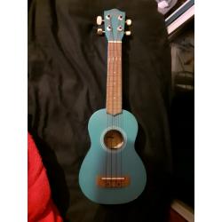 Beginner ukulele, no accessories but a nice beginner model.