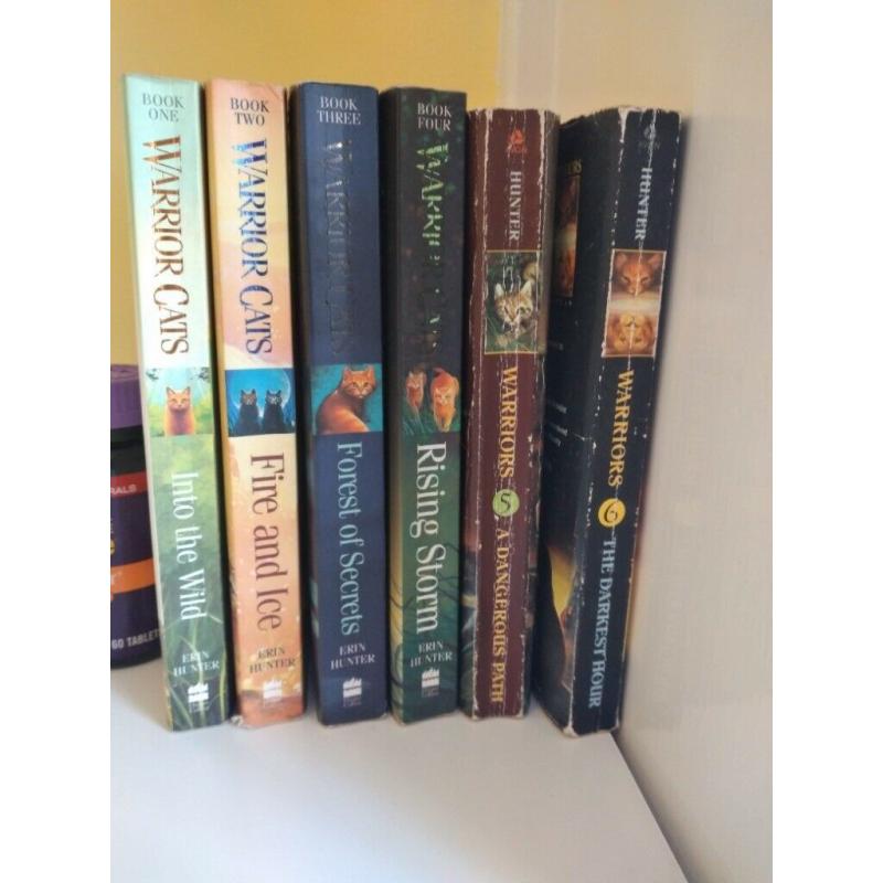 Warrior Cats Series 1: The Prophecies Begin (Set of 6 Books, Good Condition)