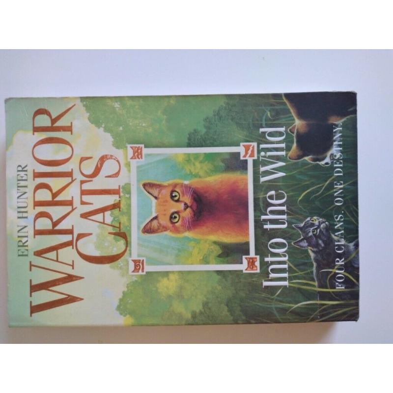 Warrior Cats Series 1: The Prophecies Begin (Set of 6 Books, Good Condition)