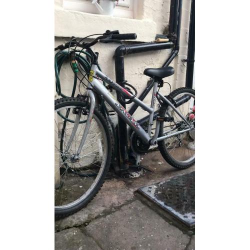 Ladies mountain bike
