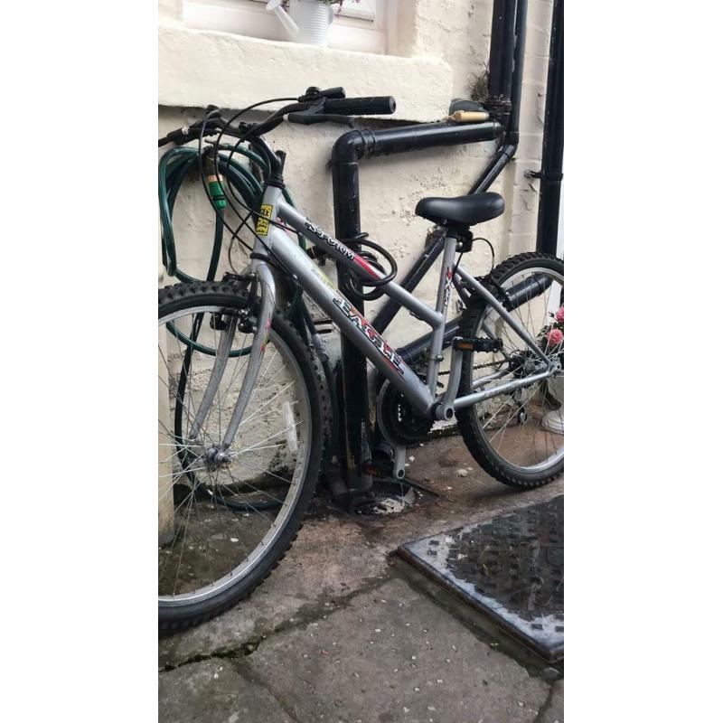 Ladies mountain bike