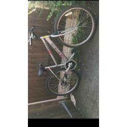 Ladies mountain bike